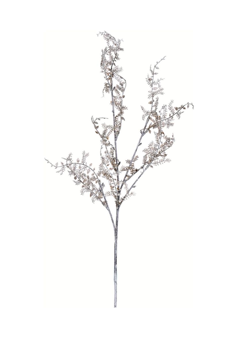 Brown and White Snake Fern Spray
