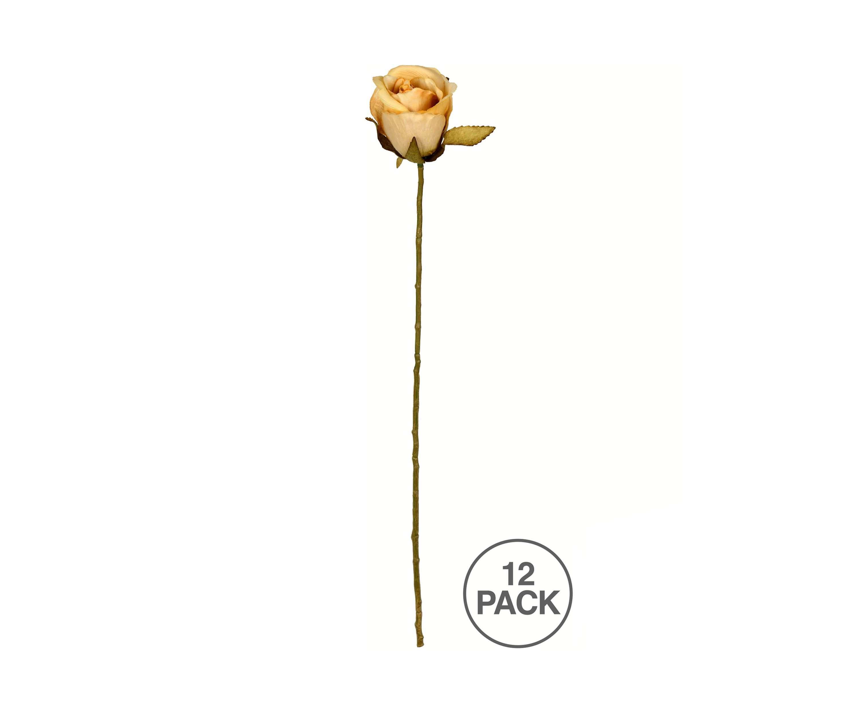 Mustard Rose Stem - Set of 12