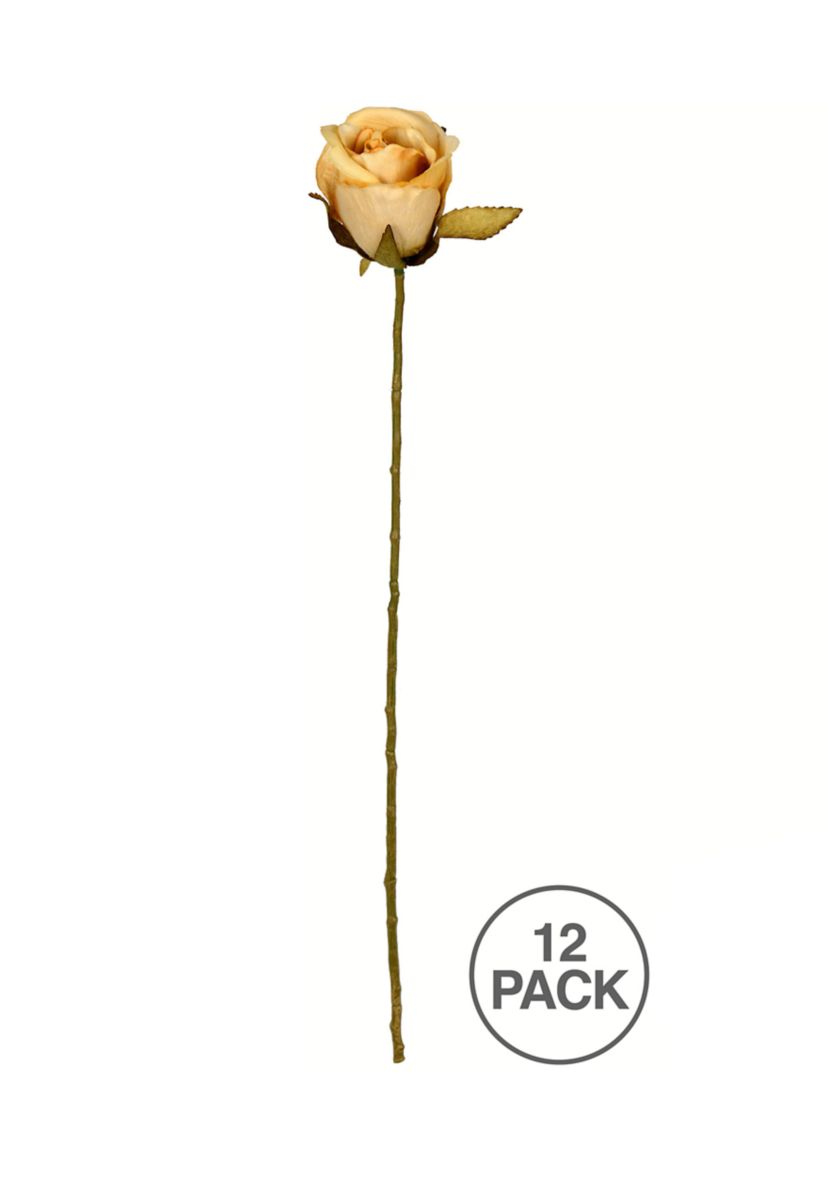 Mustard Rose Stem - Set of 12