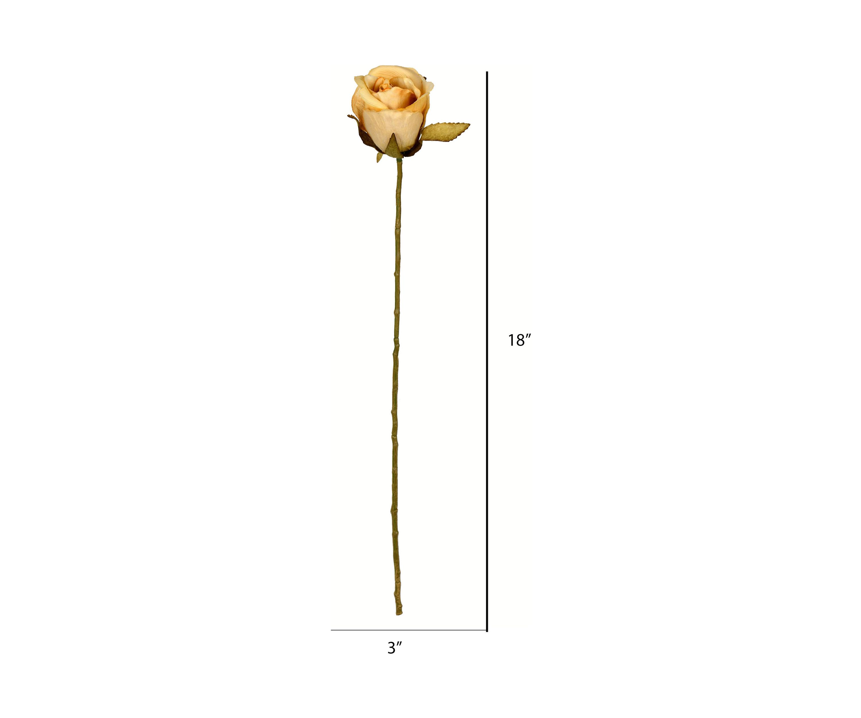 Mustard Rose Stem - Set of 12