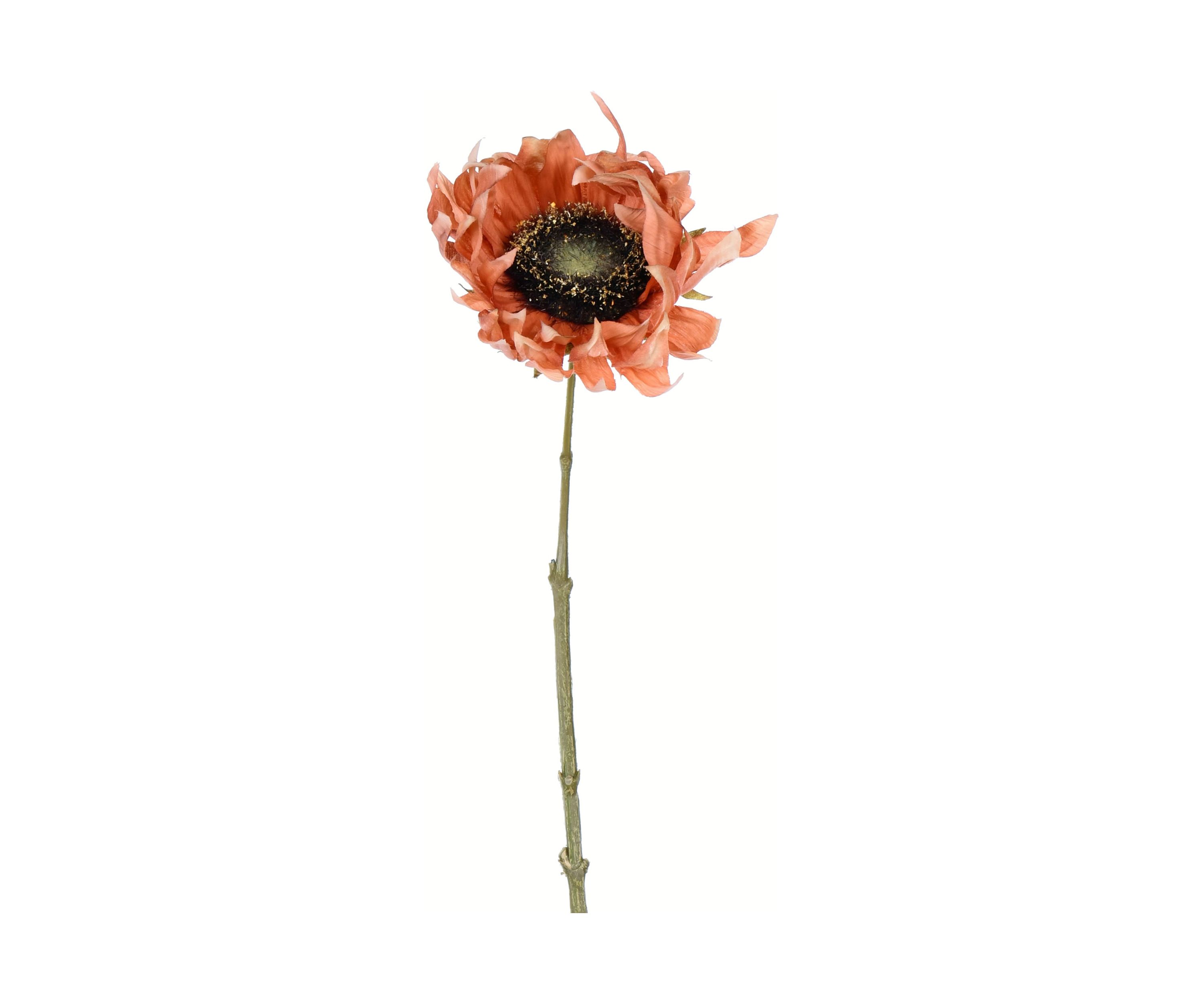 Brown Sunflower Stem