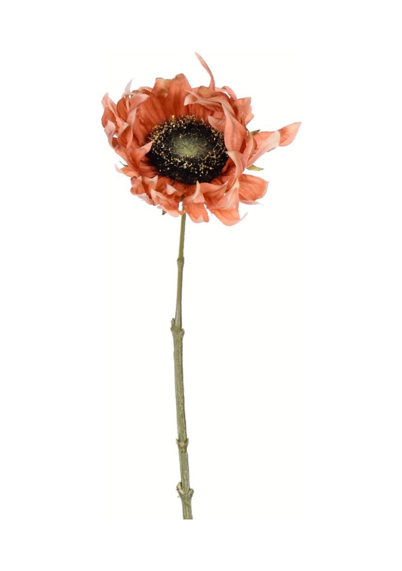 Brown Sunflower Stem