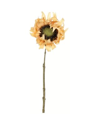 Mustard Sunflower Stem