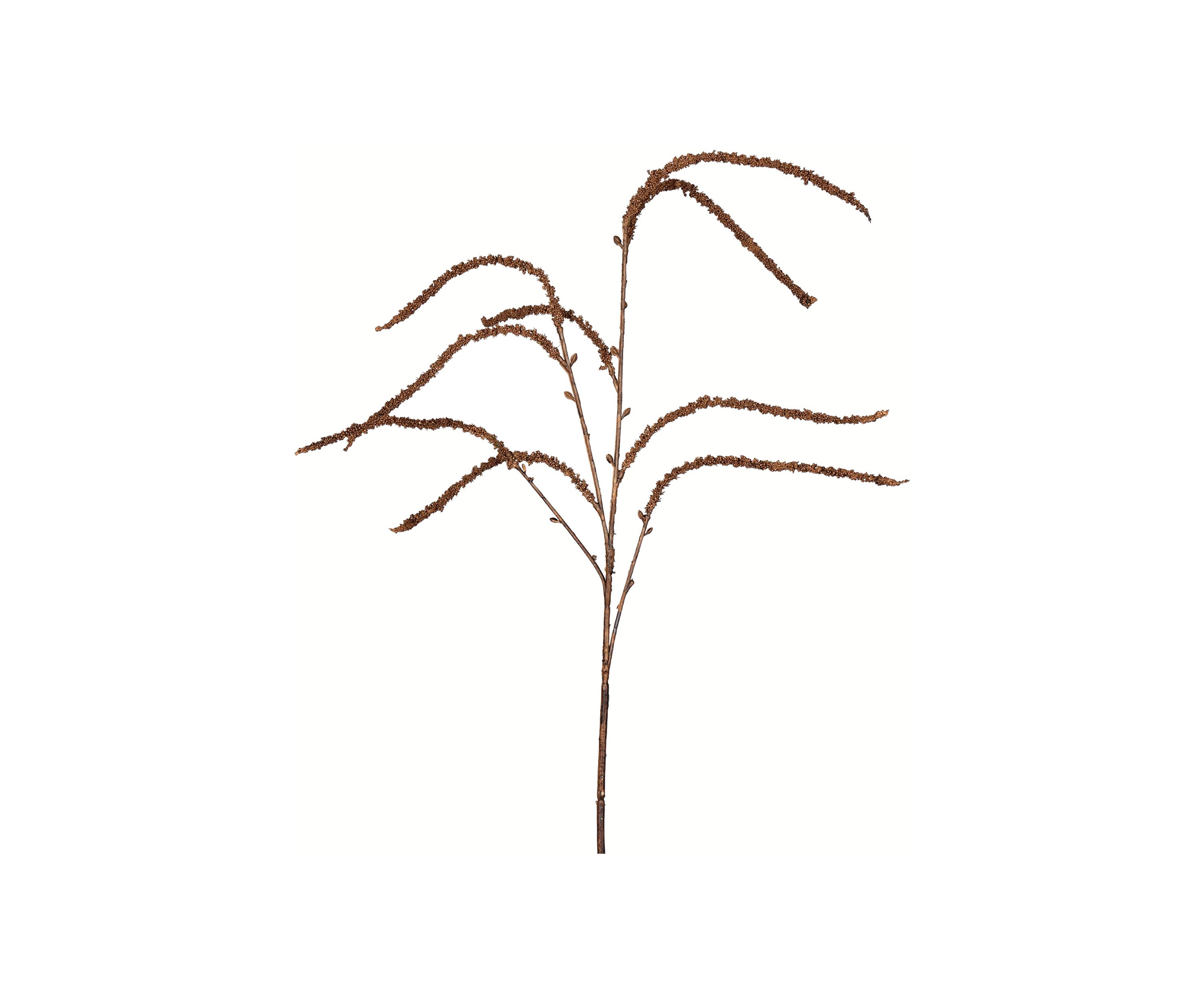 Brown Willow Spray