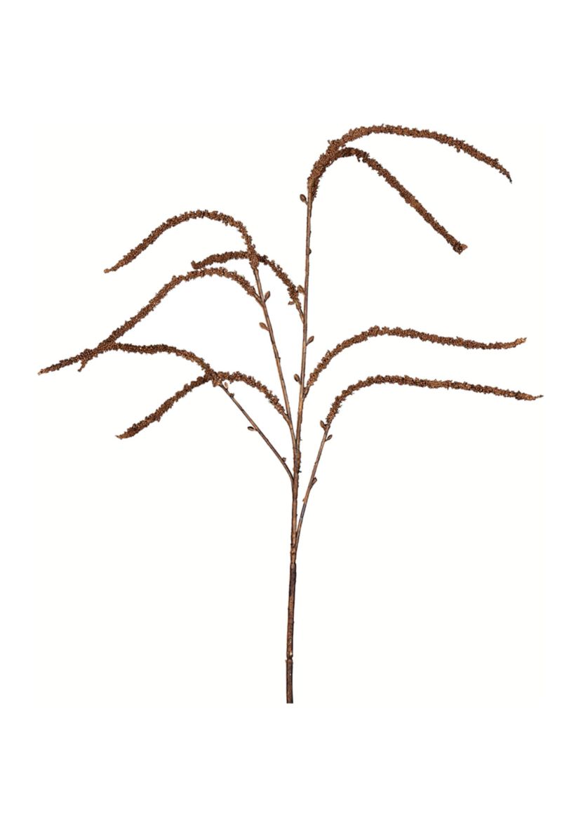 Brown Willow Spray