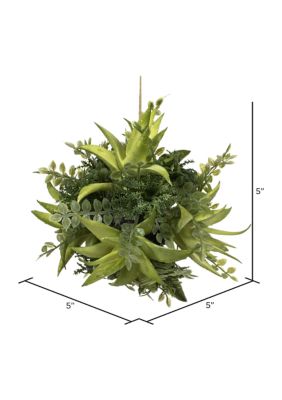 Vickerman Mixed Variety Green Succulent Ball