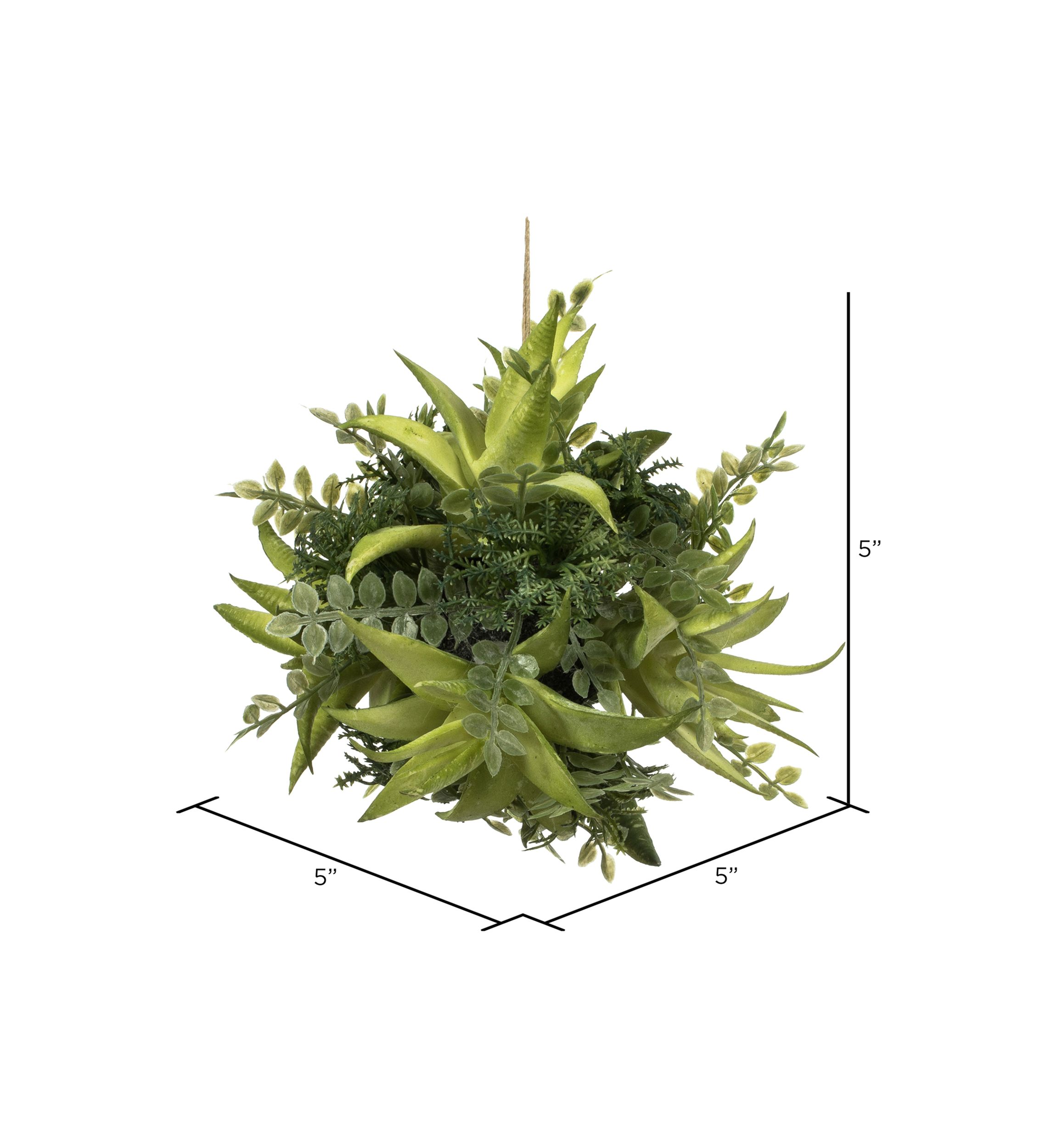 Mixed Variety Green Succulent Ball