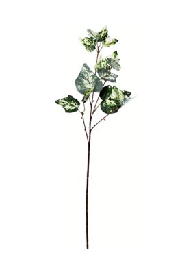 Vickerman Green Variegated Ivy Spray