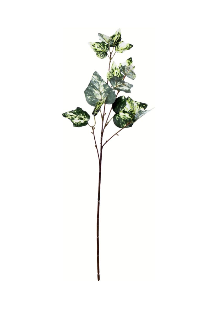 Green Variegated Ivy Spray