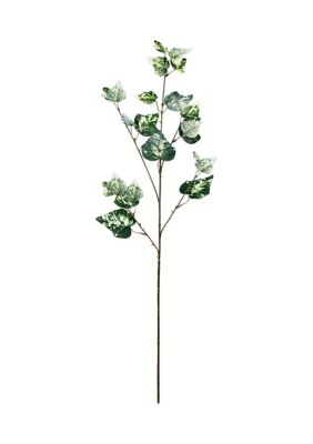 Vickerman Green Variegated Ivy Spray