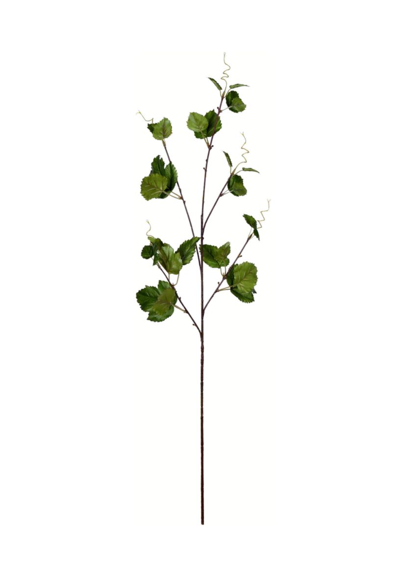 Green Hop Leaf Spray