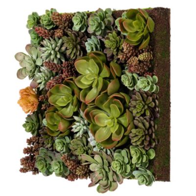 Vickerman 16.5" Artificial Multi-Colored Succulent Wall Arrangement