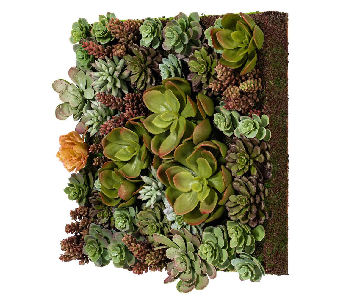 Vickerman 16.5" Artificial Multi-Colored Succulent Wall Arrangement.
