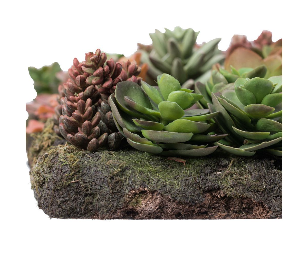 Vickerman 16.5" Artificial Multi-Colored Succulent Wall Arrangement.