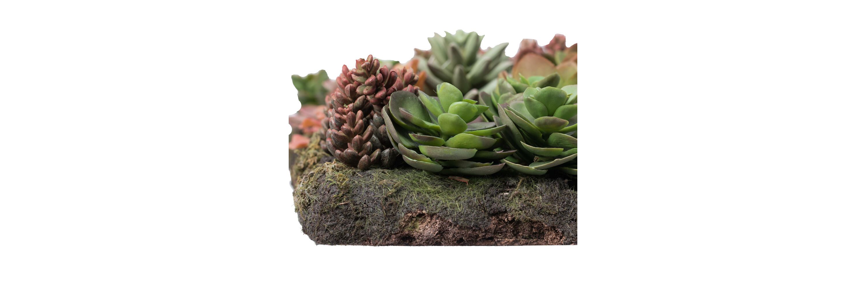Vickerman 16.5" Artificial Multi-Colored Succulent Wall Arrangement.