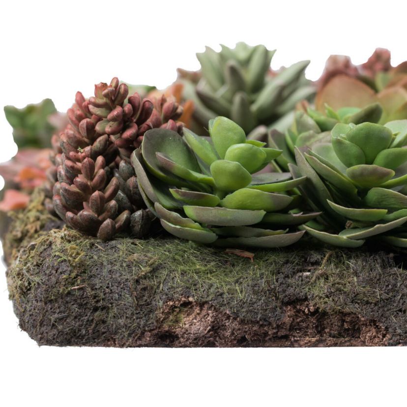 Vickerman 16.5" Artificial Multi-Colored Succulent Wall Arrangement.