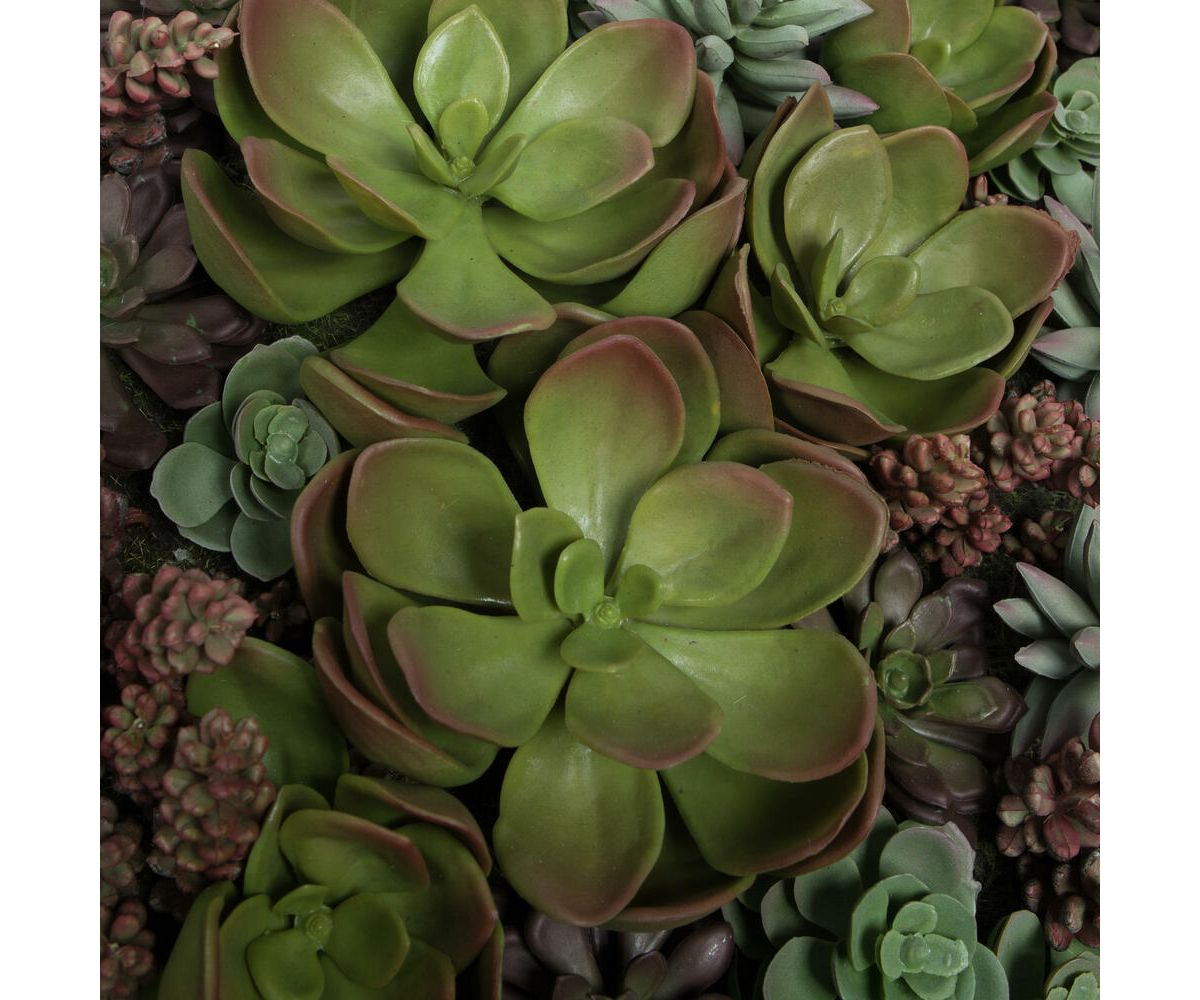 Vickerman 16.5" Artificial Multi-Colored Succulent Wall Arrangement.