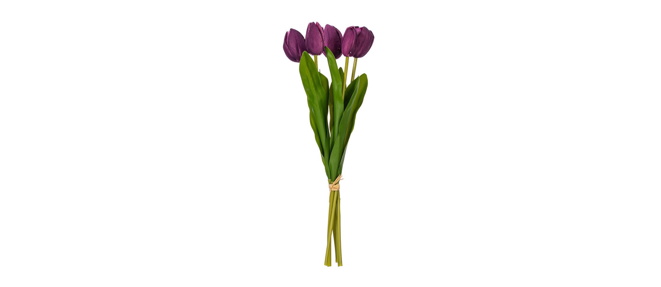 Vickerman 16"H Plum Tulip Bundle of 5. This bundle features artificial tulips with a soft "real touch" texture. The bundle can be kept together or separated to spread out the tulip blooms. Each tulip measures 16 inches tall, and theyre a great way to add color to your decor without the upkeep of fresh flowers. Each tulip head measures 1"-1.5" wide. Includes two bundles of five tulips each.