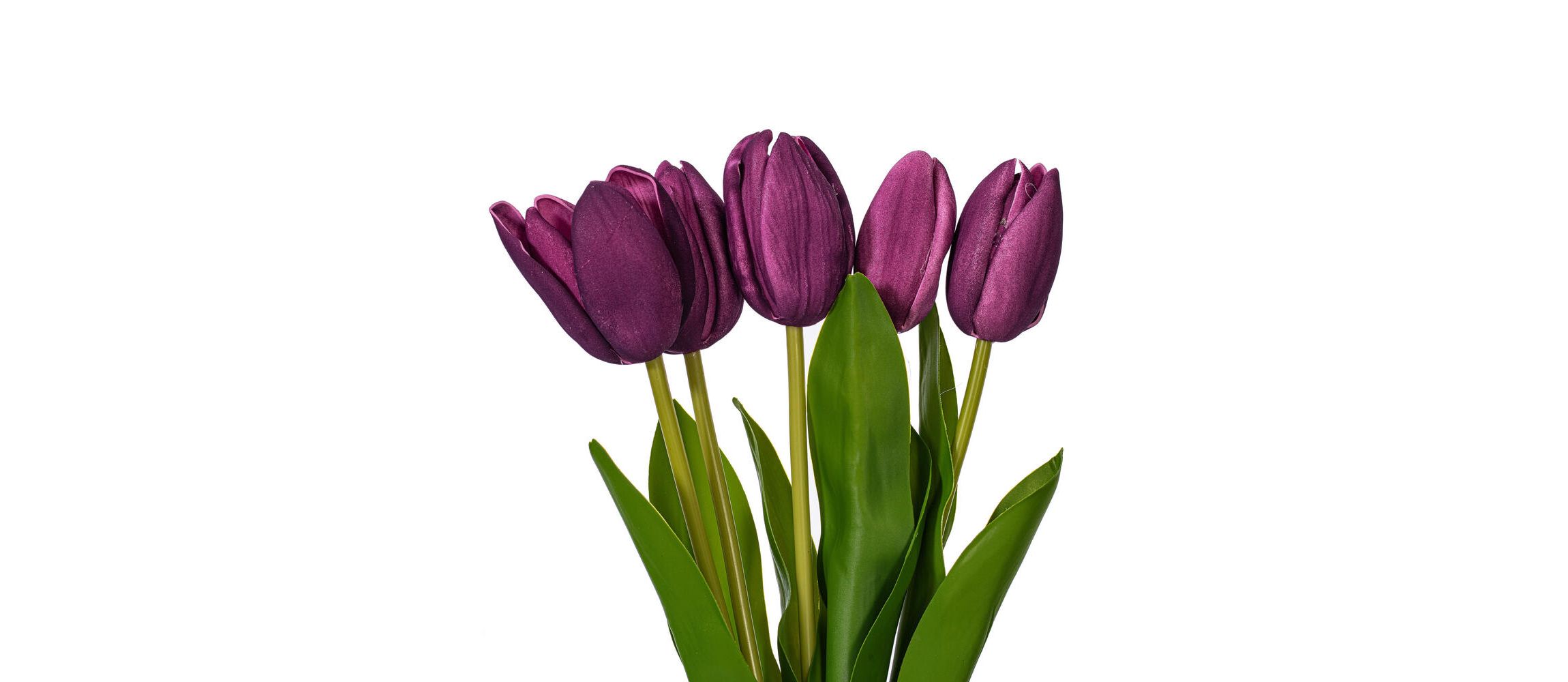 Vickerman 16"H Plum Tulip Bundle of 5. This bundle features artificial tulips with a soft "real touch" texture. The bundle can be kept together or separated to spread out the tulip blooms. Each tulip measures 16 inches tall, and theyre a great way to add color to your decor without the upkeep of fresh flowers. Each tulip head measures 1"-1.5" wide. Includes two bundles of five tulips each.
