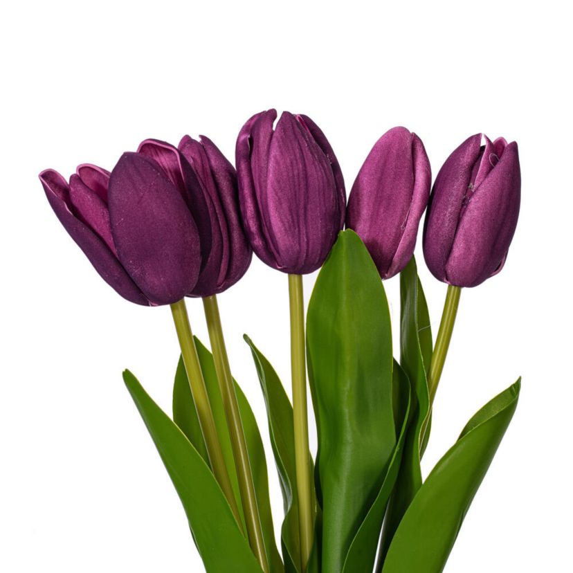 Vickerman 16"H Plum Tulip Bundle of 5. This bundle features artificial tulips with a soft "real touch" texture. The bundle can be kept together or separated to spread out the tulip blooms. Each tulip measures 16 inches tall, and theyre a great way to add color to your decor without the upkeep of fresh flowers. Each tulip head measures 1"-1.5" wide. Includes two bundles of five tulips each.
