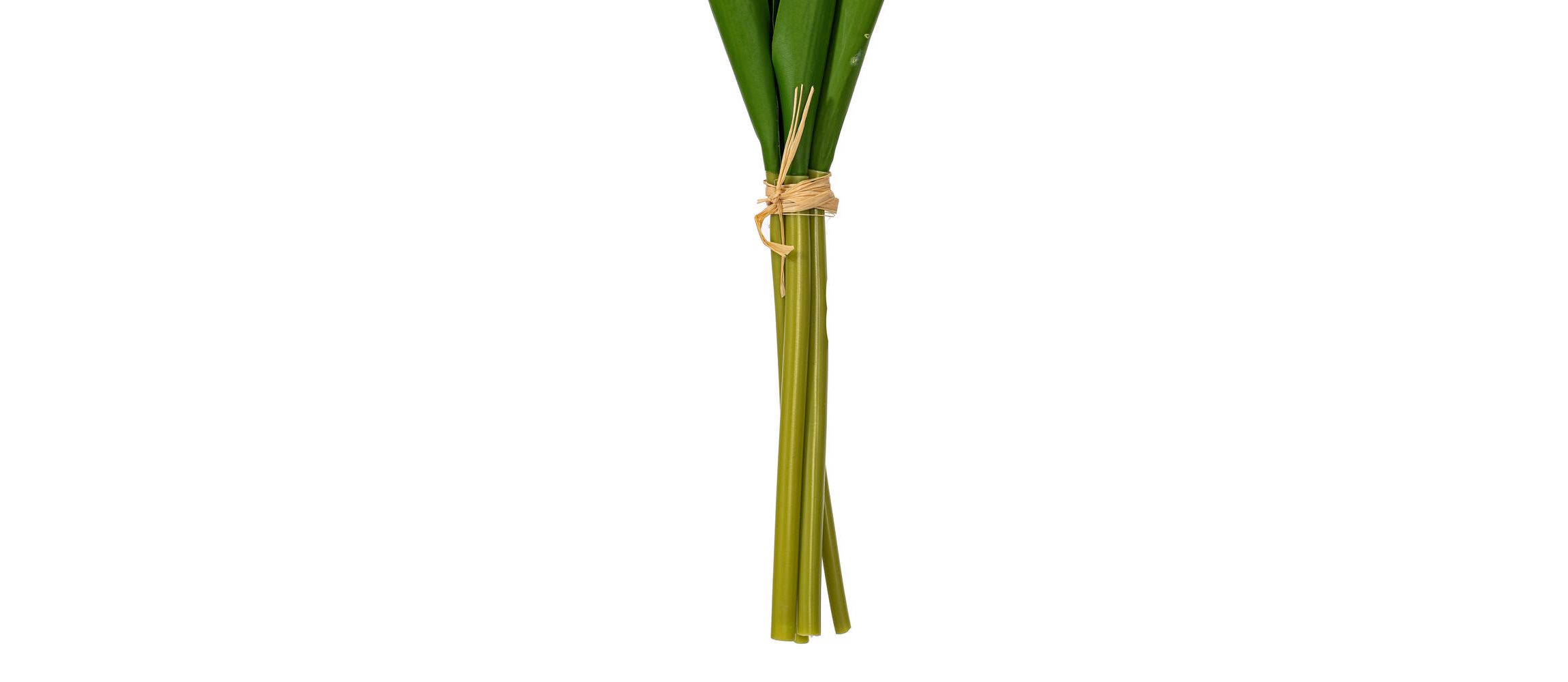 Vickerman 16"H Plum Tulip Bundle of 5. This bundle features artificial tulips with a soft "real touch" texture. The bundle can be kept together or separated to spread out the tulip blooms. Each tulip measures 16 inches tall, and theyre a great way to add color to your decor without the upkeep of fresh flowers. Each tulip head measures 1"-1.5" wide. Includes two bundles of five tulips each.