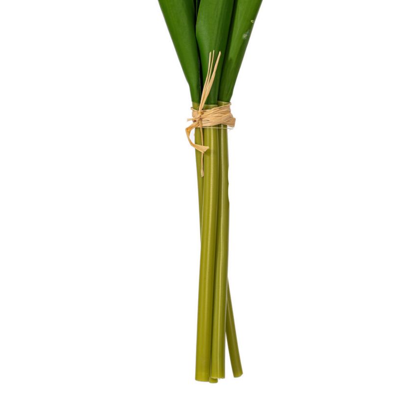 Vickerman 16"H Plum Tulip Bundle of 5. This bundle features artificial tulips with a soft "real touch" texture. The bundle can be kept together or separated to spread out the tulip blooms. Each tulip measures 16 inches tall, and theyre a great way to add color to your decor without the upkeep of fresh flowers. Each tulip head measures 1"-1.5" wide. Includes two bundles of five tulips each.