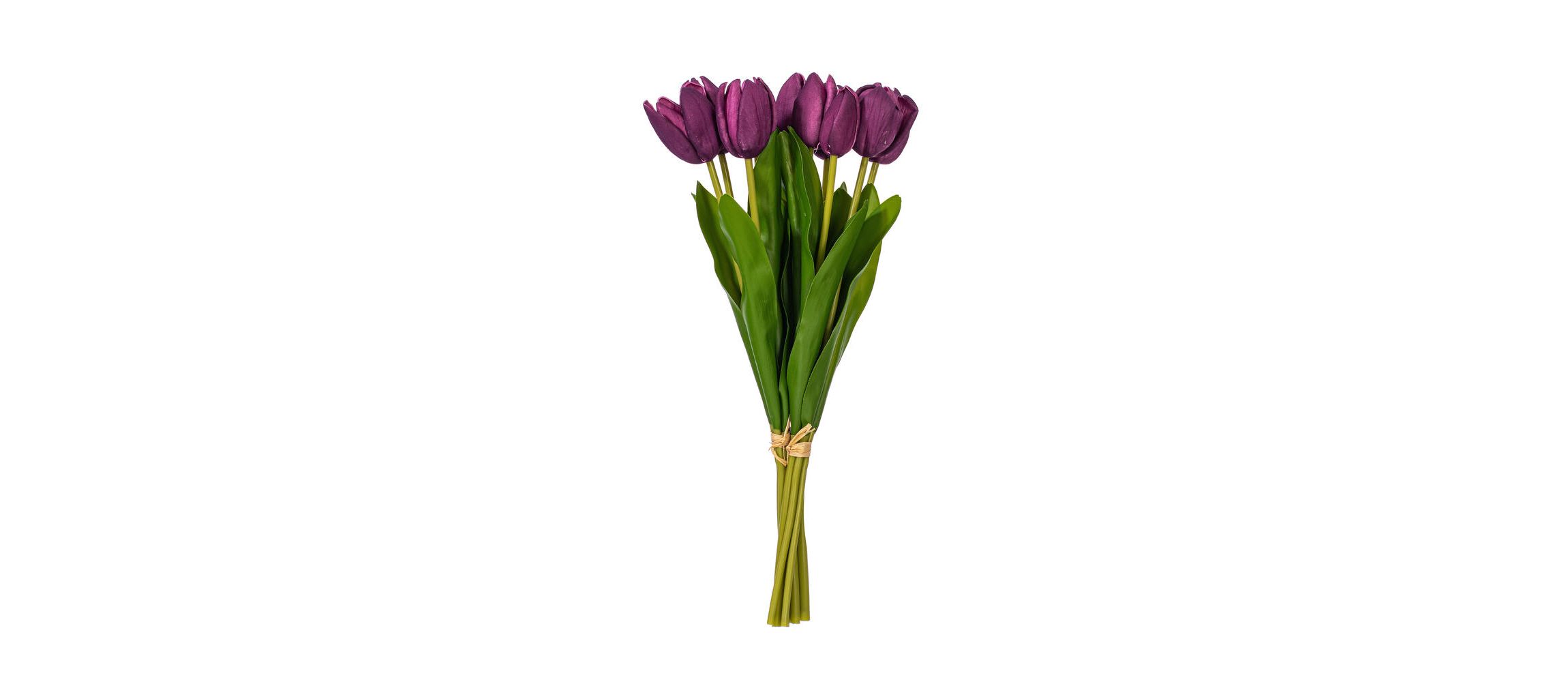 Vickerman 16"H Plum Tulip Bundle of 5. This bundle features artificial tulips with a soft "real touch" texture. The bundle can be kept together or separated to spread out the tulip blooms. Each tulip measures 16 inches tall, and theyre a great way to add color to your decor without the upkeep of fresh flowers. Each tulip head measures 1"-1.5" wide. Includes two bundles of five tulips each.