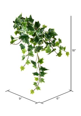 Vickerman Variegated Ivy Hanging Bush, Green