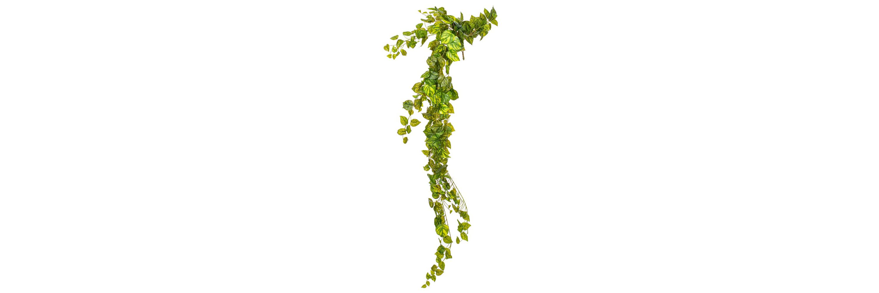 Vickerman 6 Artificial Pothos Hanging Bush.