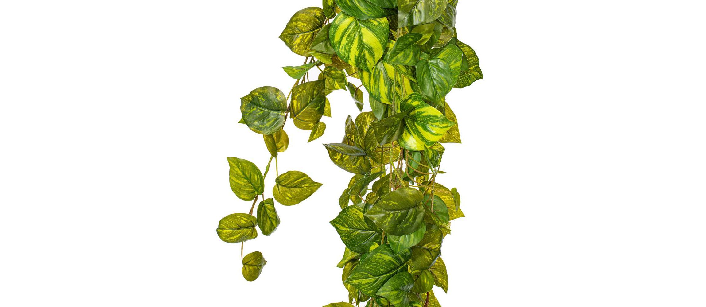 Vickerman 6 Artificial Pothos Hanging Bush.