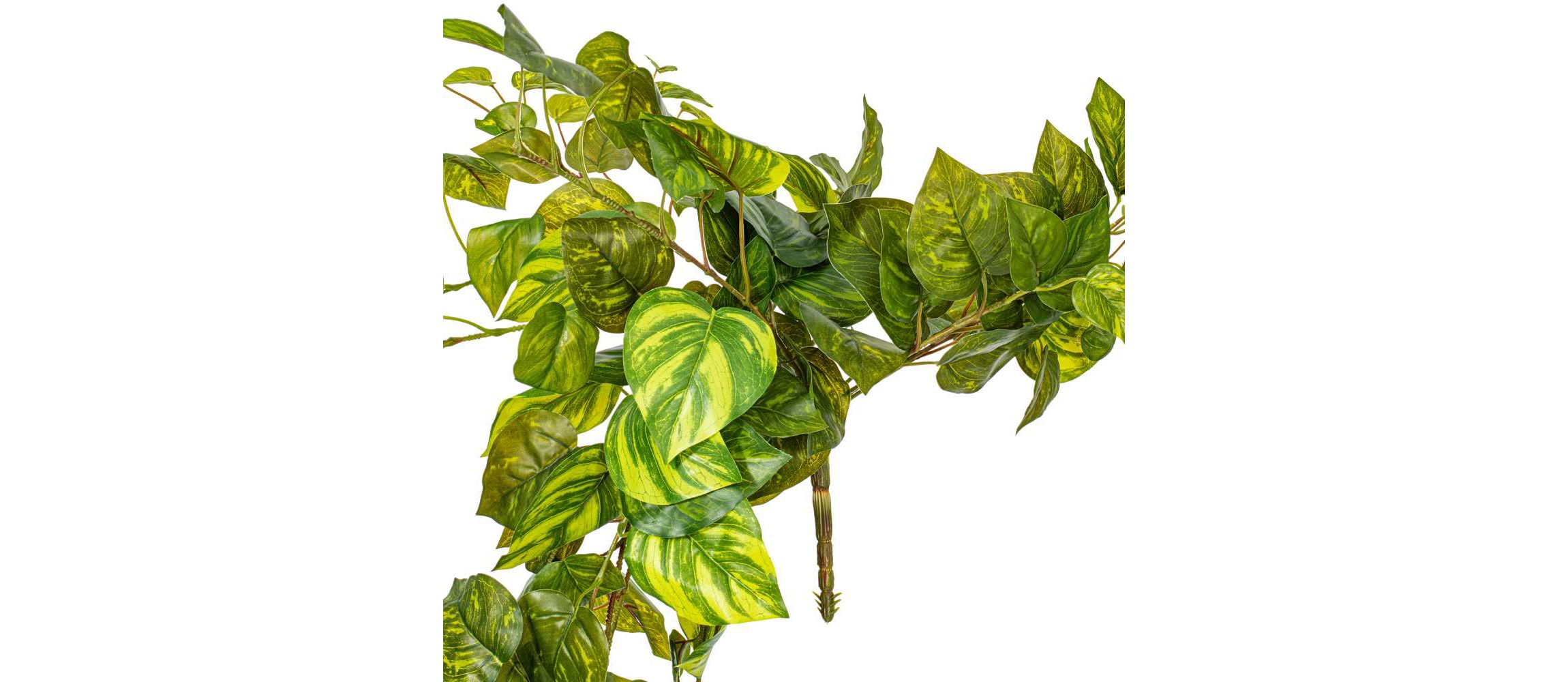 Vickerman 6 Artificial Pothos Hanging Bush.