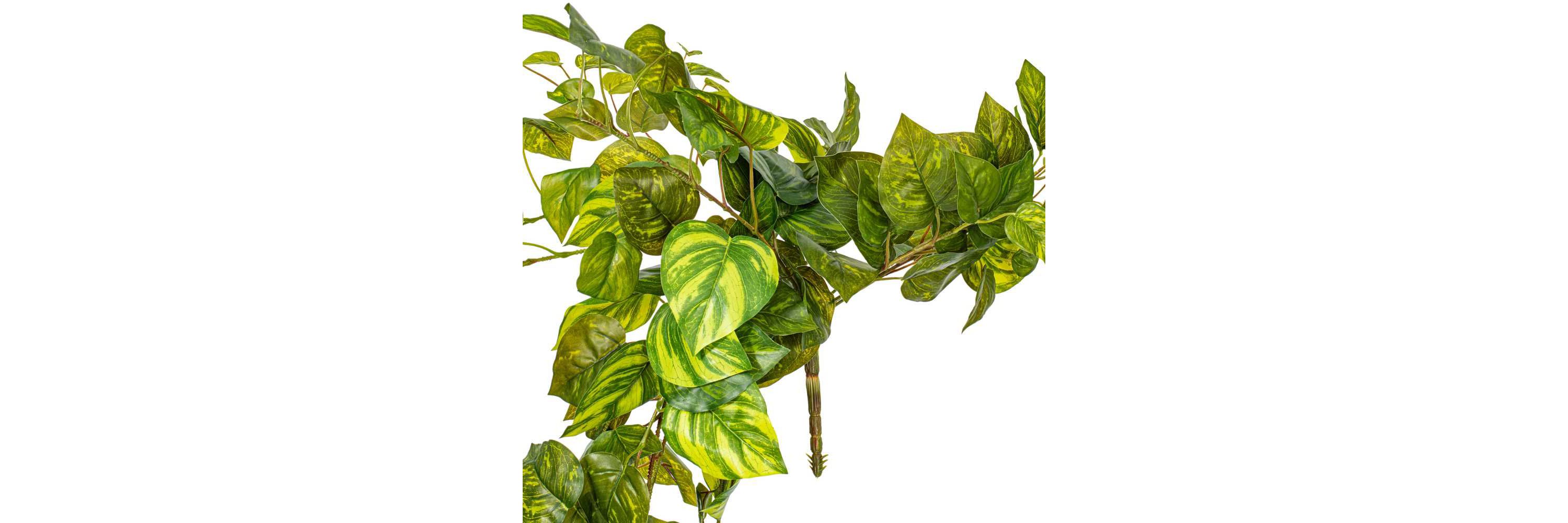 Vickerman 6 Artificial Pothos Hanging Bush.