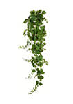 Green Grape Leaf Ivy Hanging Bush