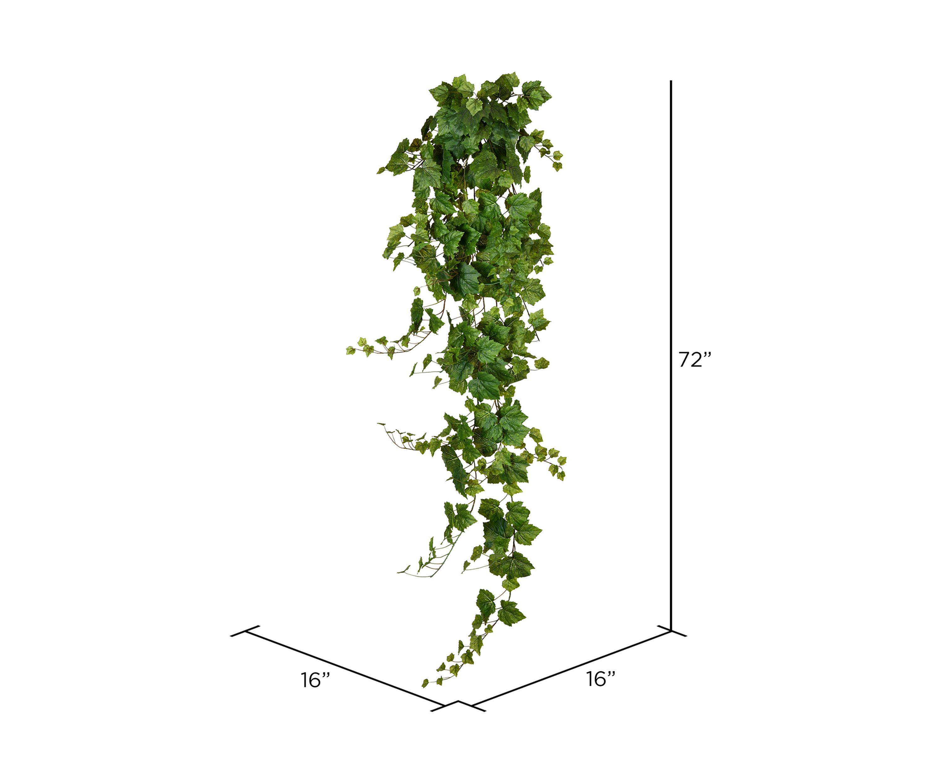 Green Grape Leaf Ivy Hanging Bush