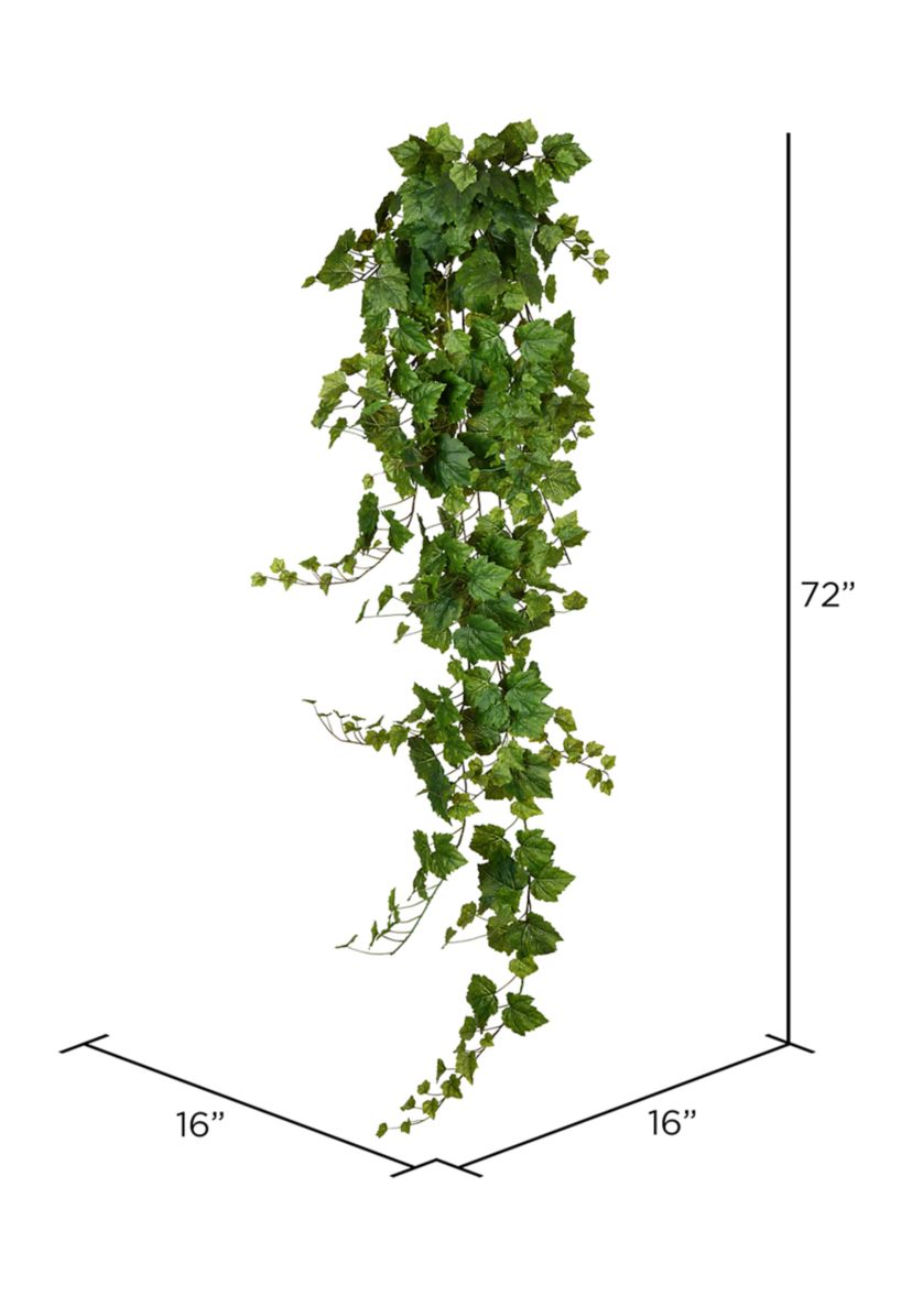 Green Grape Leaf Ivy Hanging Bush