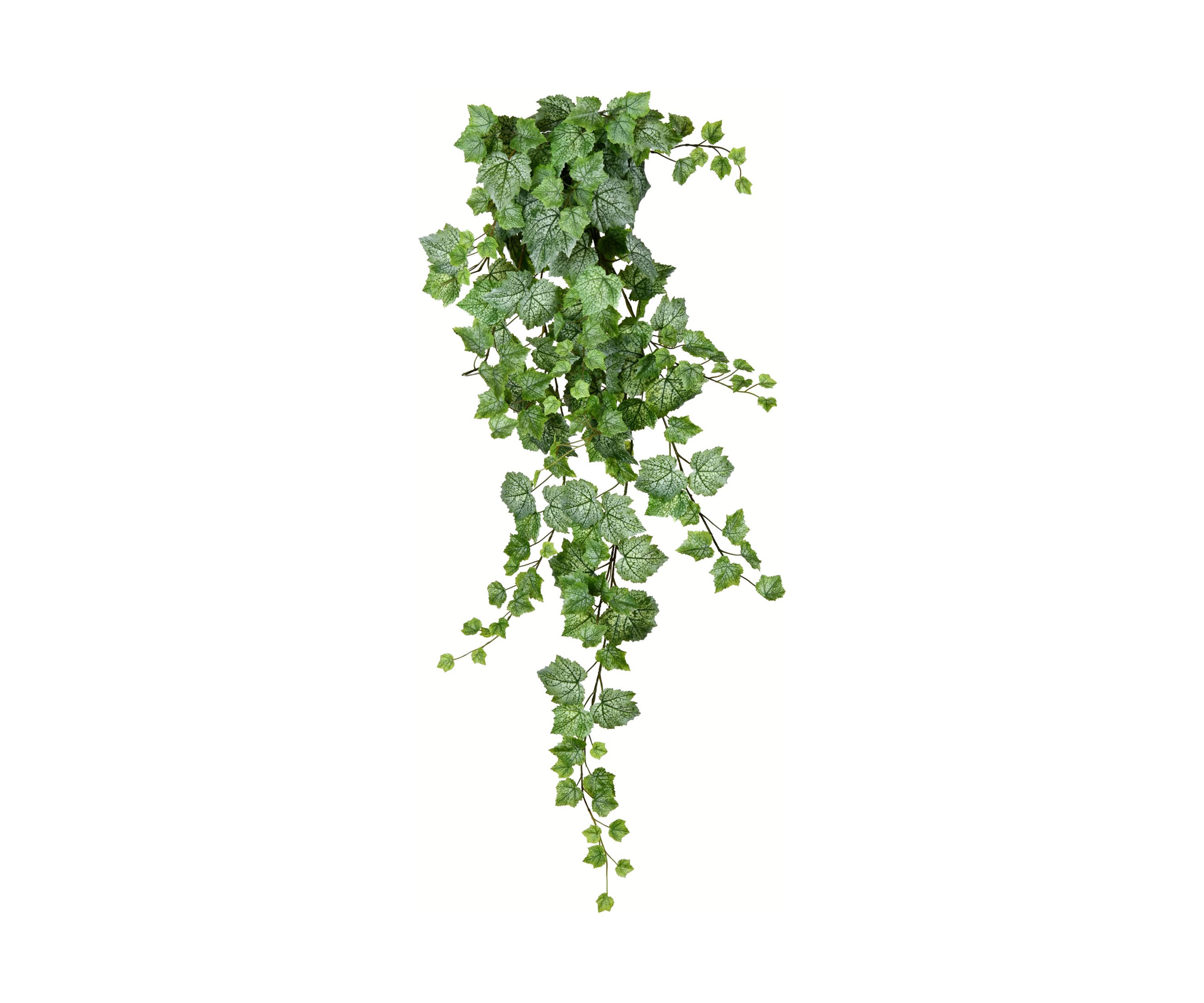 Green & White Grape Leaf Ivy Hanging Bush