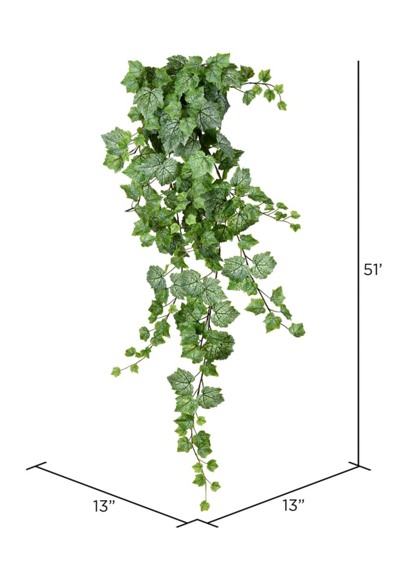 Green & White Grape Leaf Ivy Hanging Bush