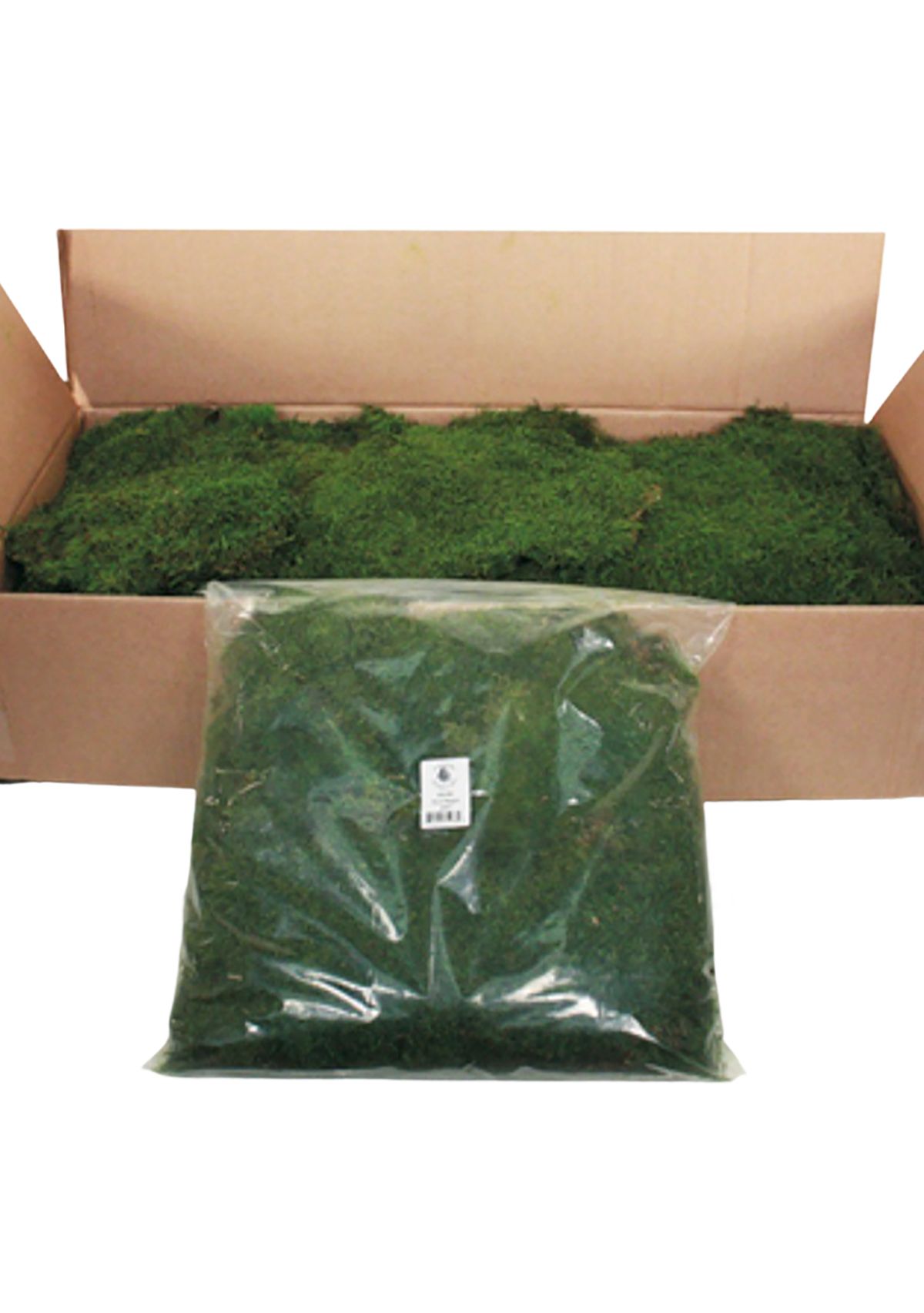 Vickerman Bag of Green Sheet Moss, Preserved