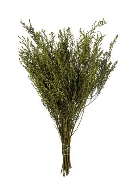 Vickerman Stoebe Bundle