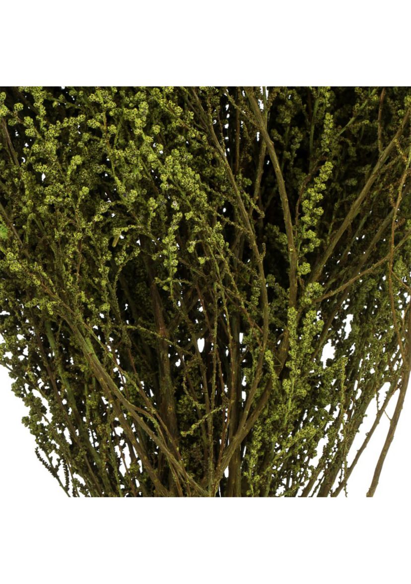 Stoebe Bundle