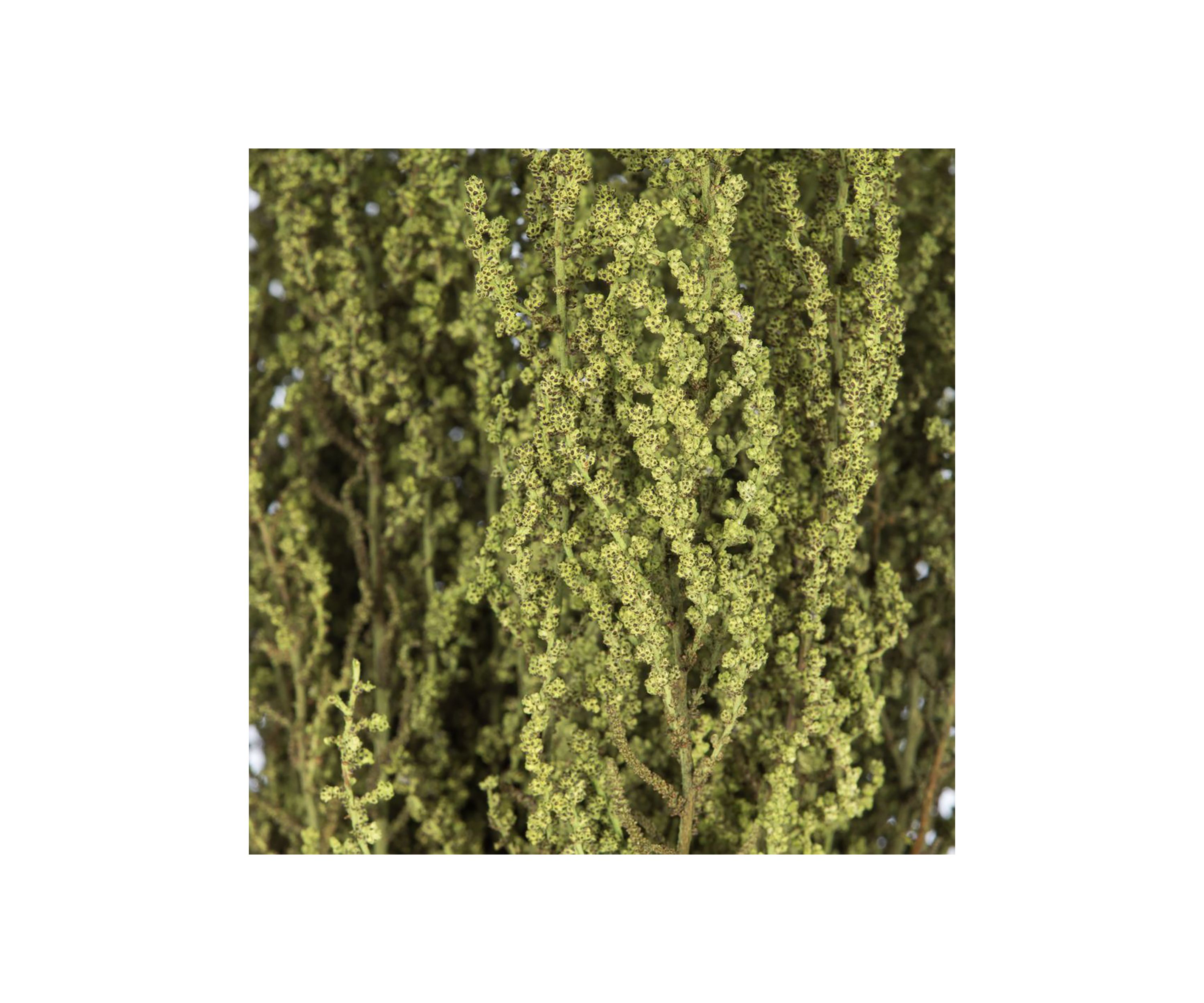 Stoebe Bundle