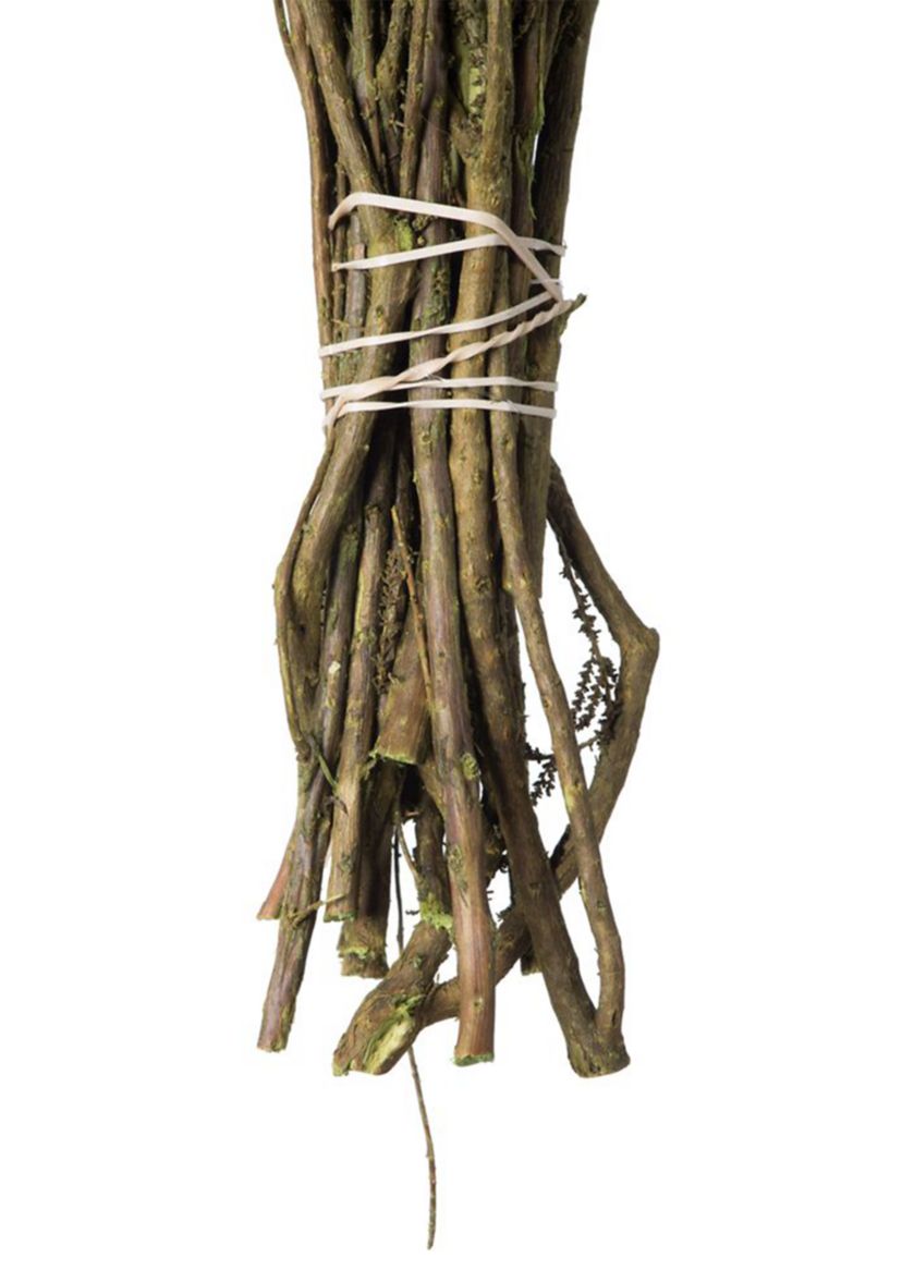 Stoebe Bundle