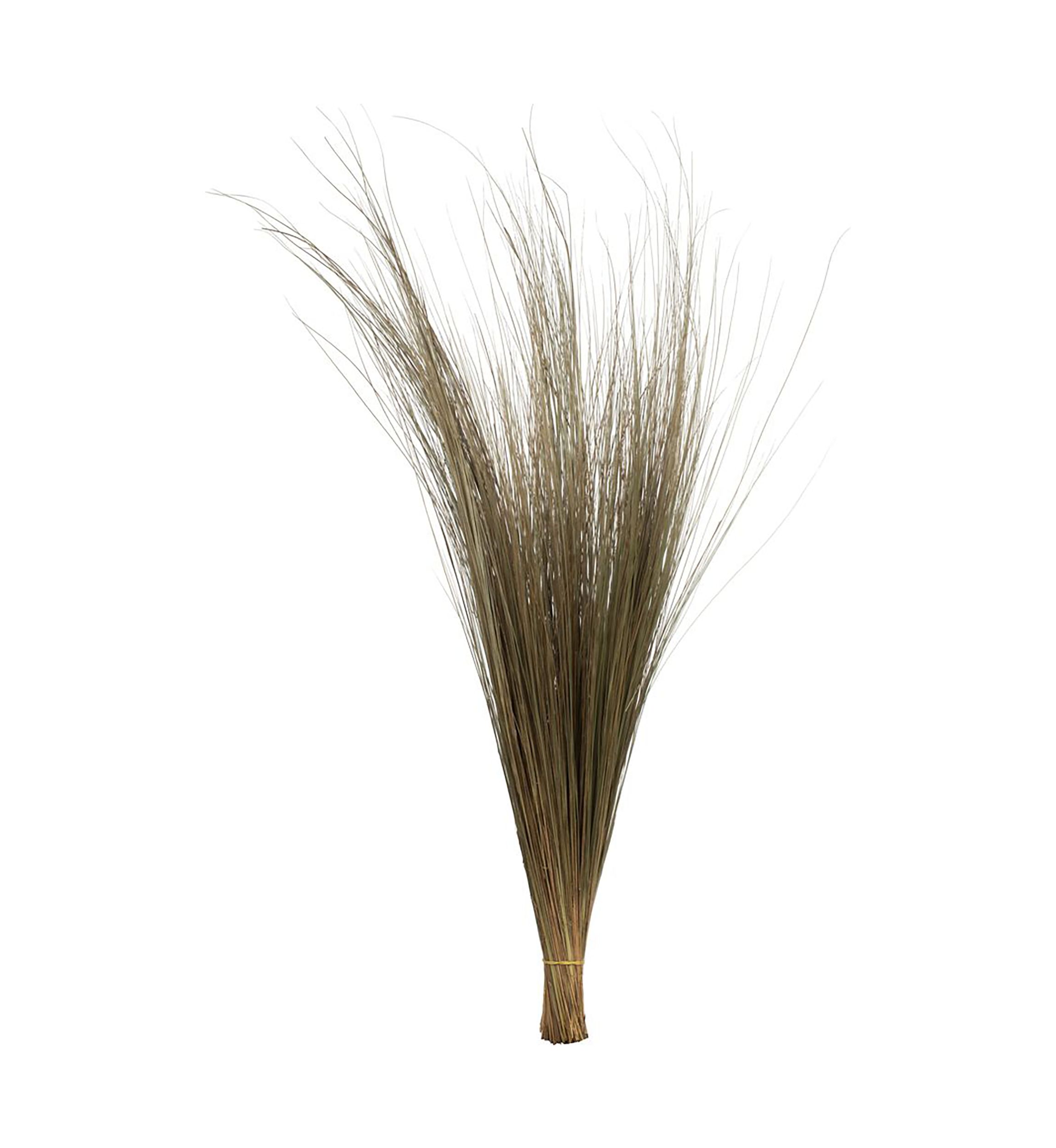 Bright Grass 80z Bunch, 2 pack, Dried