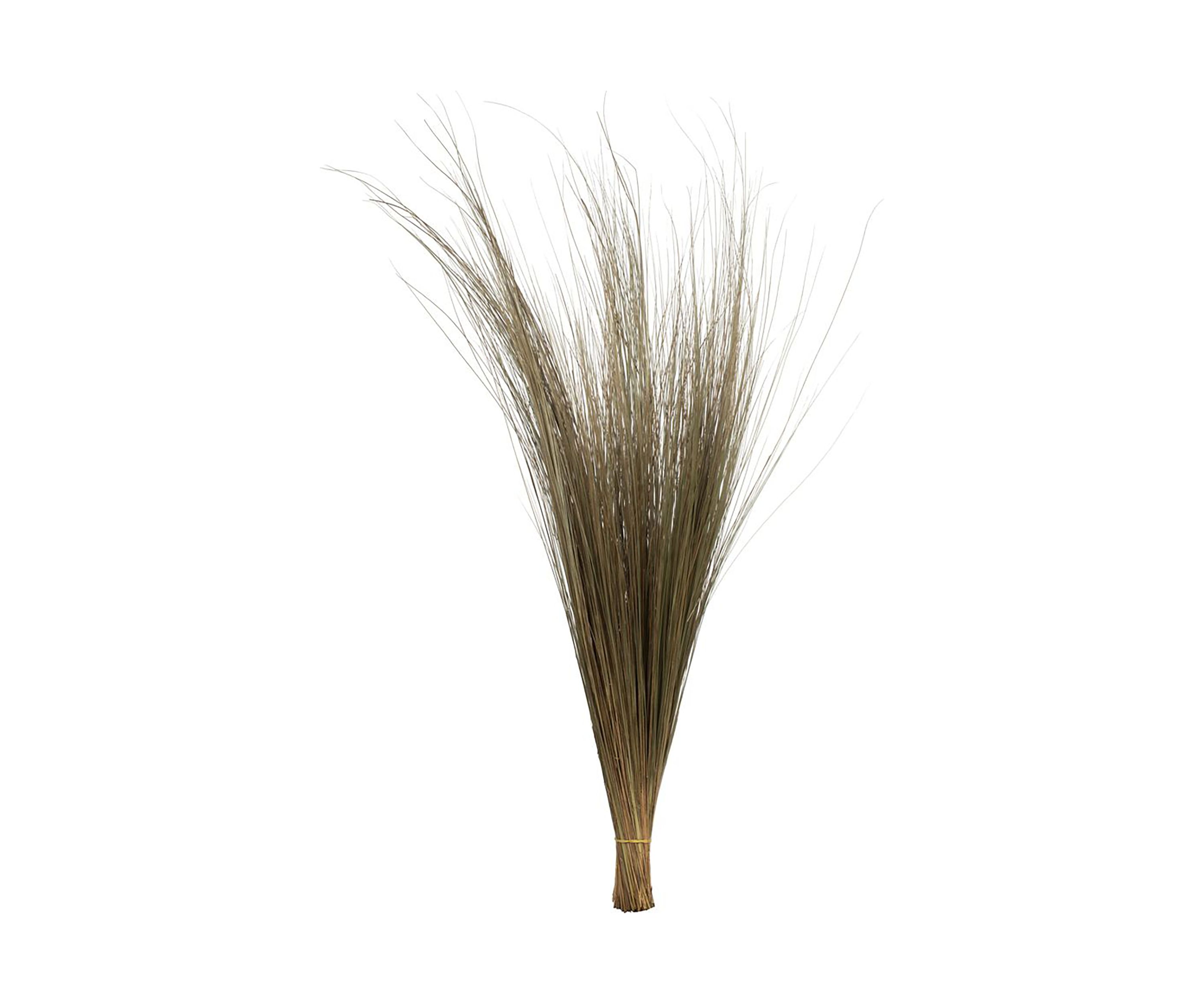 Bright Grass 80z Bunch, 2 pack, Dried