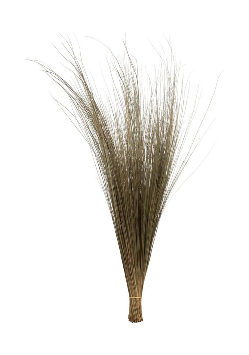 Bright Grass 80z Bunch, 2 pack, Dried