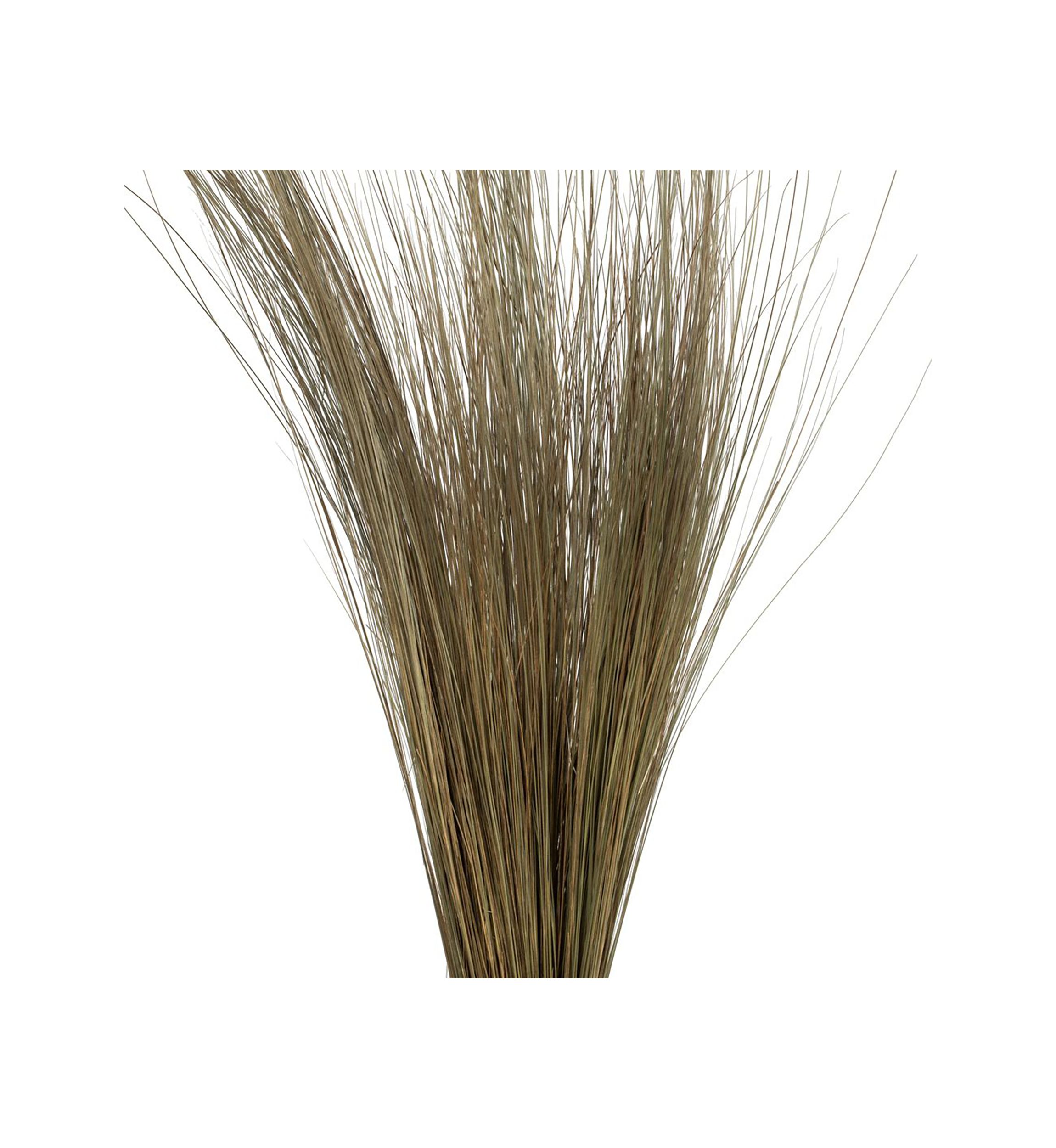 Bright Grass 80z Bunch, 2 pack, Dried