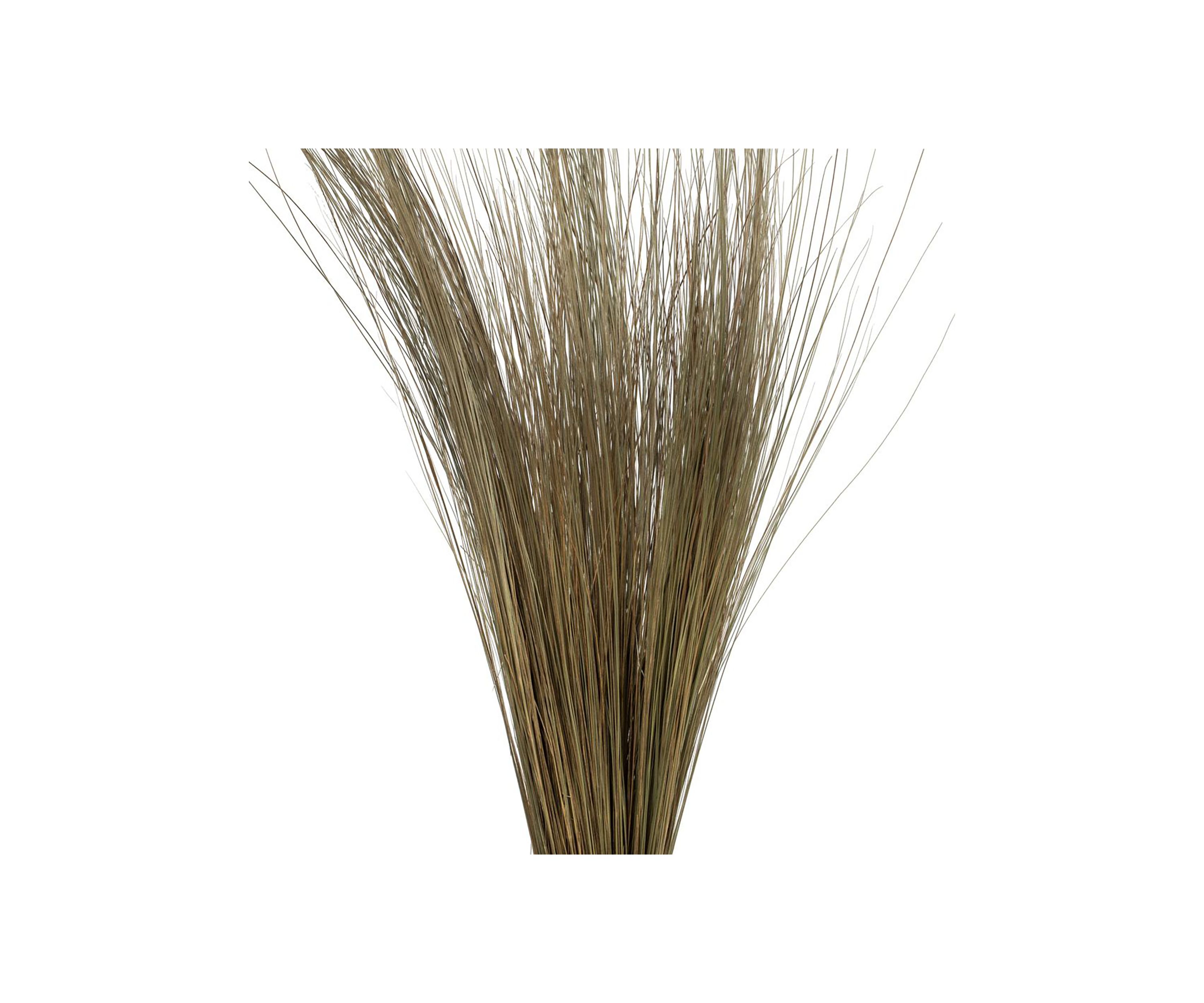 Bright Grass 80z Bunch, 2 pack, Dried
