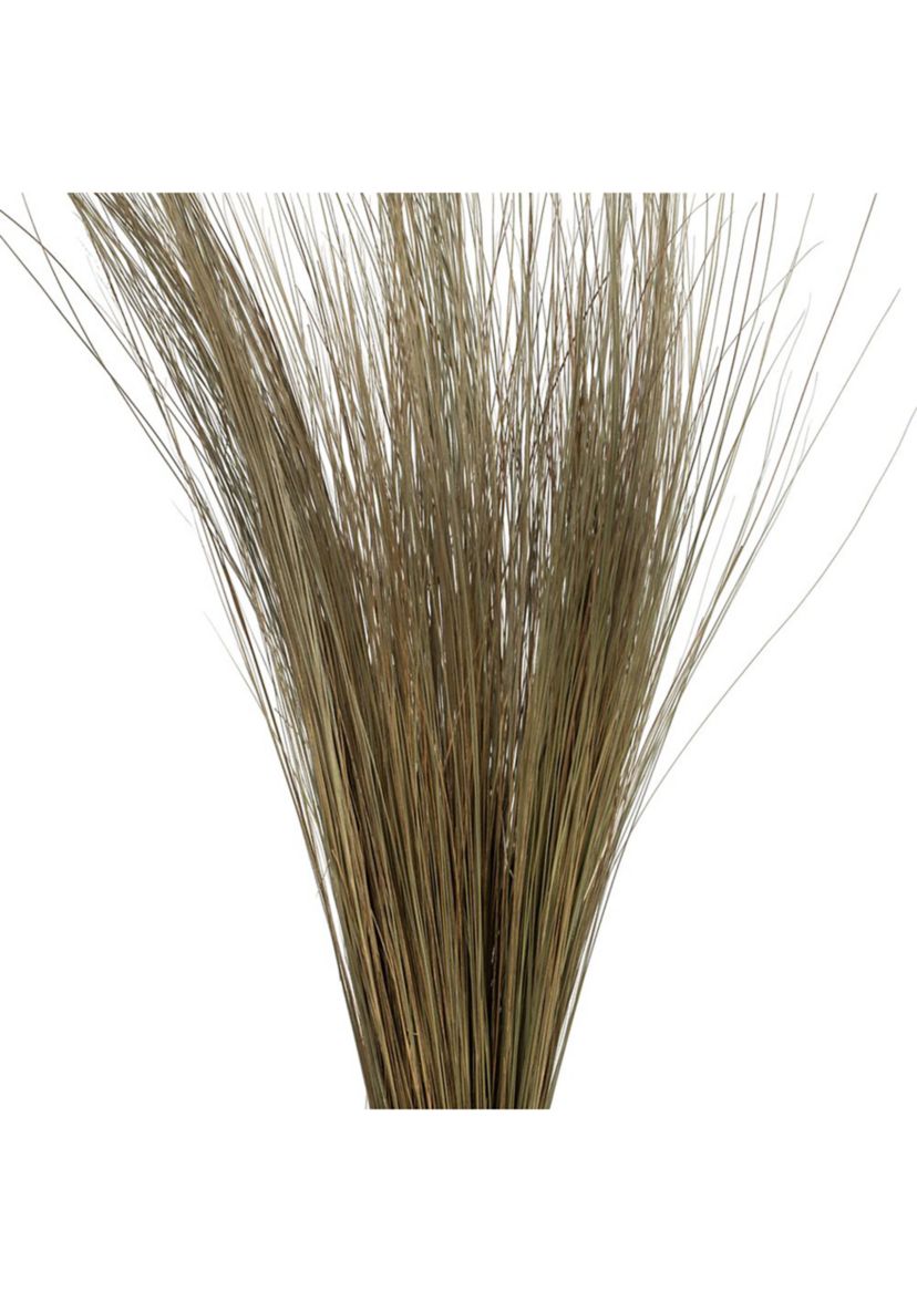 Bright Grass 80z Bunch, 2 pack, Dried