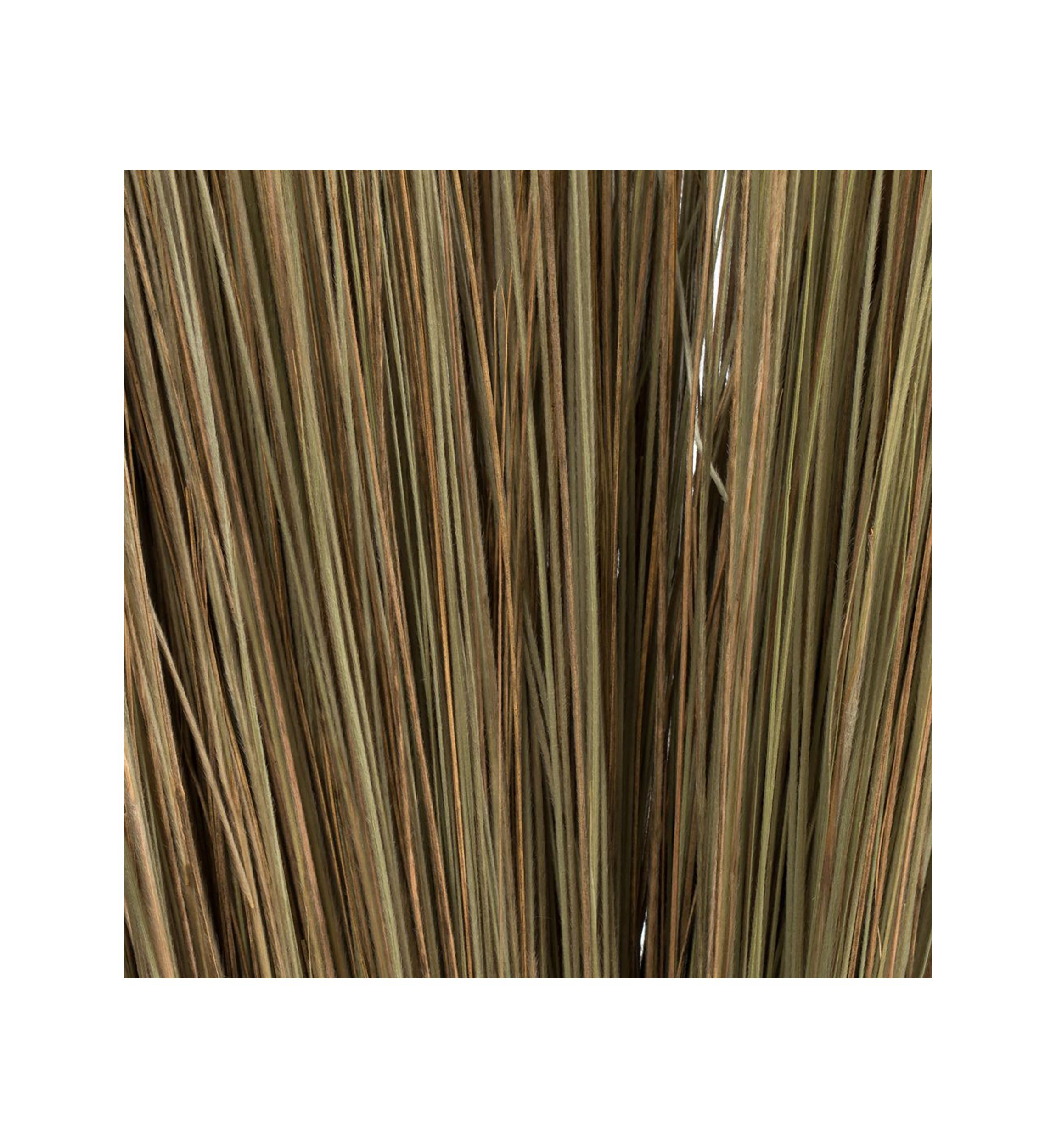 Bright Grass 80z Bunch, 2 pack, Dried