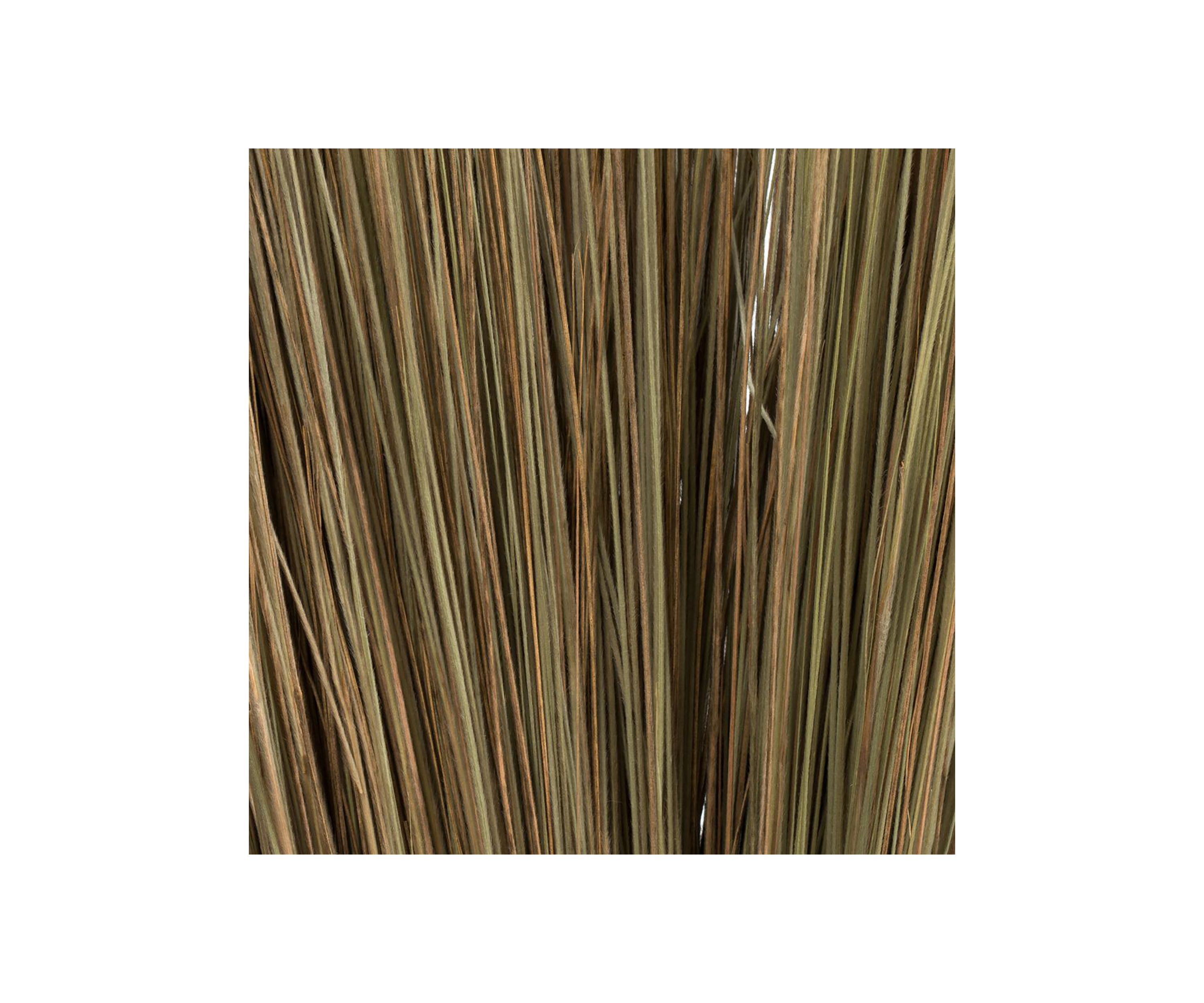 Bright Grass 80z Bunch, 2 pack, Dried